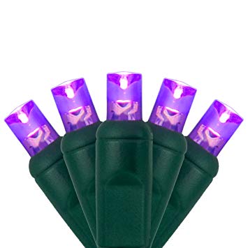 LED Purple Christmas Mini Light Set, 70 5mm Lights, Indoor/Outdoor Christmas Light Decorations, 120V UL Certified, Green Wire