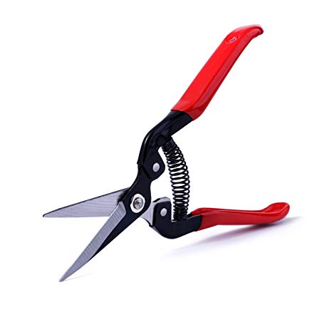 Starlotus Pruning Shears,Straight Blade Hand Pruners,Garden Clippers for Arranging Flowers, Trimming Plants & Hydroponic Herbs, and Harvesting Fruits & Vegetables.