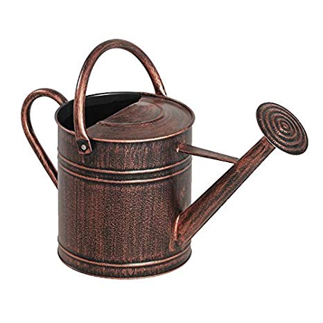 Panacea 84872 2 Gallon Brushed Bronze Watering Can