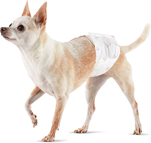 Amazon Basics Male Dog Wrap, Disposable Diapers, Extra Small - Pack of 30, White