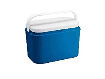 Atlantic Cool Box 10 L 10L Mini Fridge Cooler Insulated Thermal Cooler Insulated with Refrigerated Box/Insulated