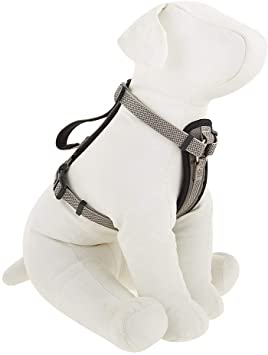 KONG Comfort Harness Padded Gray Small