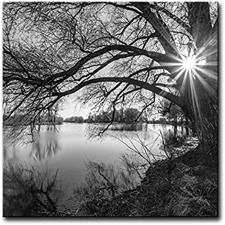 Wall Art Decor Poster Painting On Canvas Print Pictures Black And White Tree Silhouette In Sunrise Time Lake Landscape Framed Picture For Home Decoration Living Room Artwork
