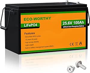 ECO-WORTHY 24V 100Ah LiFePO4 Lithium Battery, Built-in BMS, 4000  Cycles Rechargeable Battery, Replacement for Off Grid Solar Panel Kit, Camper/RV, Boat, Household, Marine