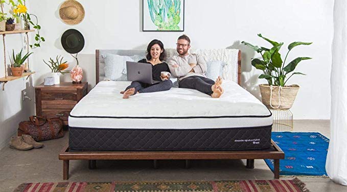 Nest Bedding Alexander Signature Hybrid 13.5" Copper Infused Luxury Mattress Thermic Phase Change Cooling Fabric, Queen