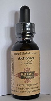 Alchornea Cordifolia Natural Tincture (1oz)