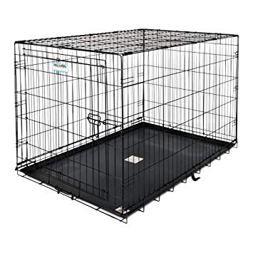 ProValu Single-Door Dog Crate in Black