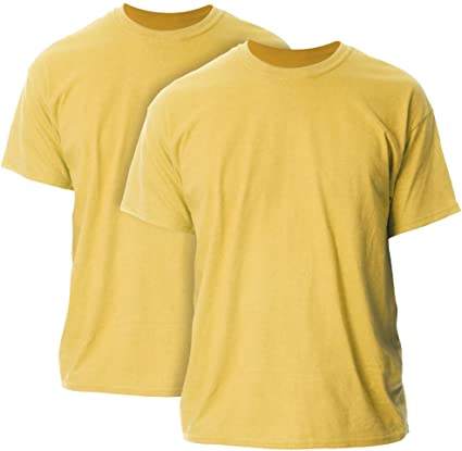 Gildan Men's Heavy Cotton T-Shirt 5000 2-Pack