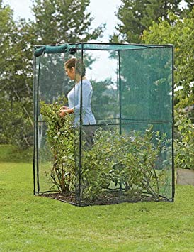 Gardener's Supply Company Crop Cage, 4 x 4 Plant Protection Tent