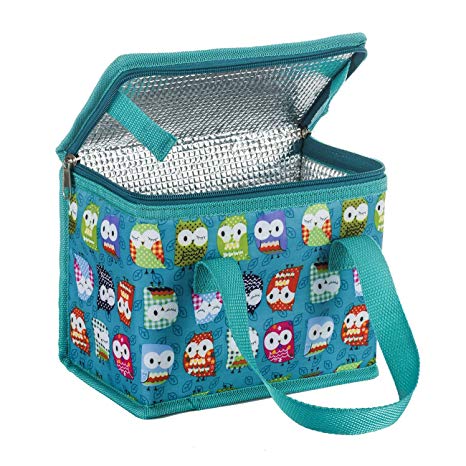 TEAMOOK Lunch Bag Insulated Lunch Box Cool bag Green Owl 6 cans