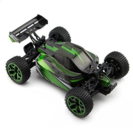 Zhencheng 1/18 Scale Electric RC Off Road Truck 2.4Ghz 4WD Extreme Speed Buggy Racing Car Toy Vehicle,Green