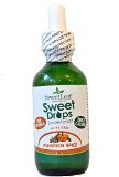 Sweetleaf Flavored Stevia PUMPKIN SPICE Sweet Drops QTY 1
