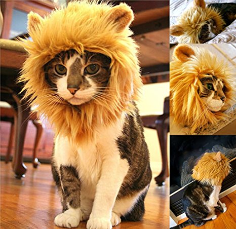 Yunt Pet Costume Lion Mane Wig for Dog Cat Halloween Dress up with Ears,Turns Your Pet Into a Ferocious Lion