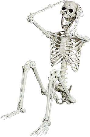 Posable Halloween Skeleton - Halloween Full Body Skeleton Bones with Movable Joints for Halloween Decoration Spooky Scene Party Décor (5.4ft)