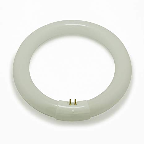 Sylvania T9 Circular 22w Magnifier Lamp Warm White (3000k) Fluorescent Tube, GR10q, 23 W