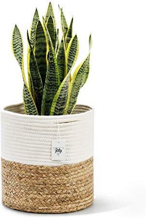 POTEY Cotton Rope Woven Plant Basket with Water Hyacinth - Modern Indoor Planter Basket for Plants，Up to 10 Inch Pot Woven Storage Organizer with Handles Home Decor Christmas Gift Idea, 11" x 11"