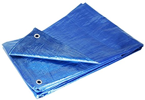 Grizzly Tarps GTRP1216 12-Feet X 16-Feet Blue Multi-Purpose 6ml Waterproof Poly Tarp Cover with Tent Shelter Camping Tarpaulin by Grizzly Tarps