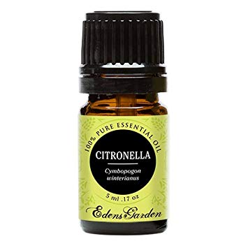 Edens Garden Citronella Essential Oil, 100% Pure Therapeutic Grade (Highest Quality Aromatherapy Oils- Inflammation & Skin Care), 5 ml