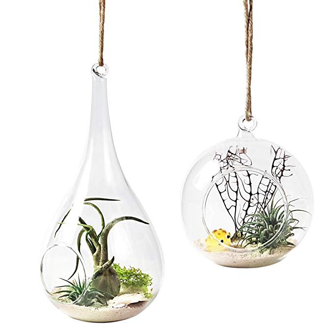 Mkono 2 Pack Glass Hanging Planter Air Plant Terrarium Globe and Teardrop