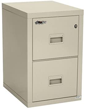 Fireproof 2-Drawer Vertical File Finish: Parchment