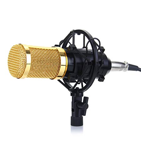 Excelvan Condenser Recording Microphone with Shock Mount Holder, Black