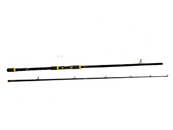 Saltwater Surf Fishing Rod "Black Magic" 10'