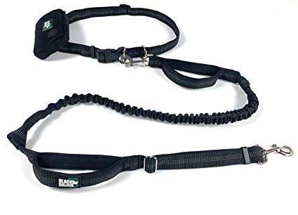 Black Rhino - Premium Hands Free Dog Leash for Running Walking Jogging & Hiking - Adjustable Length Dual Handle Bungee Leash Medium – Large Dogs Neoprene Padded Handles