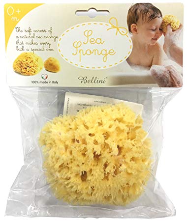 Bellini Natural Sea Sponge Honeycomb, Medium