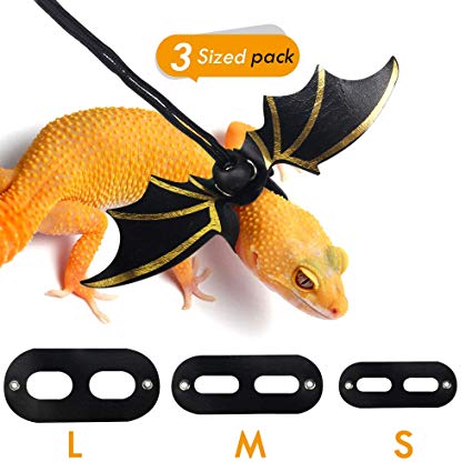 KWANITHINK Adjustable Bearded Dragon Leash with Cool Wings, S/M/L 3 Size Packed Leather Lizard Leash for Walking, Comfortable Lizard Harness Reptile Leash Small Animals