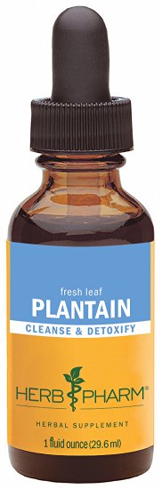 Herb Pharm Certified Organic Plantain Extract for Cleansing and Detoxification - 1 Ounce