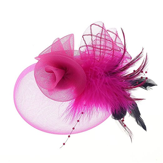 Fascinator Hats Tea Party Hats Mesh Net Head Accessories for Women