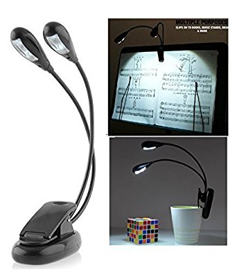 Intsun Adjustable Gooseneck Light Clip on LED Lamp, Mini Super Bright Clip Desk Light Lamp with Double Headed, LED Book Reading Light - Comes With USB Cable, Best Suited For: Music Stands, Reading, BBQ, Grilling, Desk & Travel - Used By Musicians, Readers, Artists, Chefs - Fully Portable(Black)