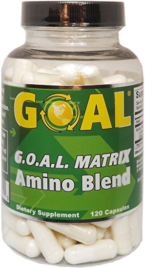 GOAL - G.O.A.L. MATRIX Amino Acids Complex Silver Label 120 Capsules - Best NO Supplement L-Glycine L-Ornithine L-Arginine L-Lysine Combination Nitric Oxide Boosters for Men and Women