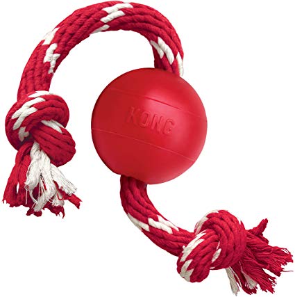 KONG Ball w/Rope Dog Toy