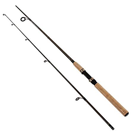 SHIMANO Solora 2 Piece Spinning Rod