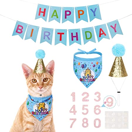 EXPAWLORER Cat Birthday Party Supplies, Cat Birthday Cake Hat & Bandana Scarfs Set, Cute Triangle Scarf with Party Hat and Flag Decorations for Kittens, Small Animals