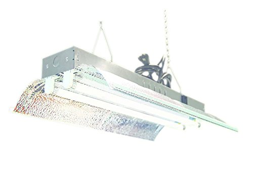 T5 HO Grow Light (2 FT 2 Lamps) DL822 Fluorescent Hydroponic Fixture Bloom Veg Grow Light System 6500k bulbs