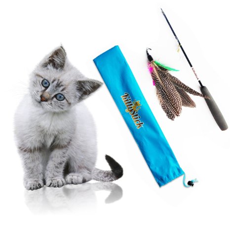 Easyology Pets Feather KittyStick Cat Toy