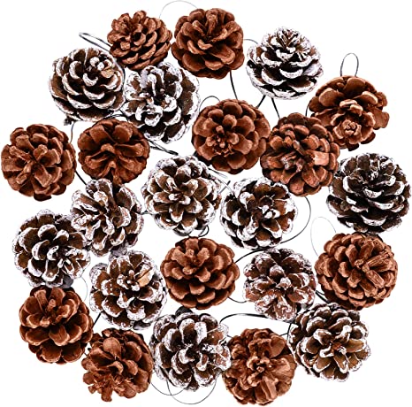 Cooraby 24 Pine Cones Christmas Snow Pinecones 3 to 4 cm Pine Cones Pendant for Fall and Christmas Party Decoration Home Decoration