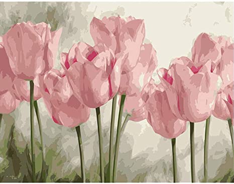 Paint by Numbers for Adults Kit Painting DIY Begineer 16x20inch (Pink Tulips)