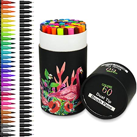 Color You  Brush Pens Set, Dual Tip Art Marker, 0.4mm Fine liners & Brush Tip for Child Adult Colouring Books Drawing Sketching Writing