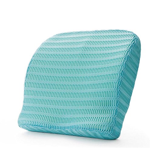 HealthSense Backrest Cushion with Memory Foam (SOFT SPOT - BC 21) - Ice Blue
