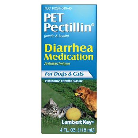 Lambert Kay Pet Pectillin Diarrhea Medication for Dogs and Cats, 4 fl. oz.