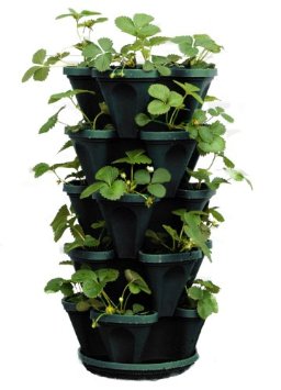 5-Tier Stackable Strawberry, Herb, Flower, & Vegetable Planter - Vertical Gardening Indoor / Outdoor Stacking Garden Pots