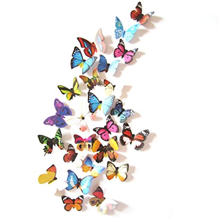Prefer Green 2 X 24 PCS 3D Colorful Butterfly Wall Stickers DIY Art Decor Crafts (H-017 A)