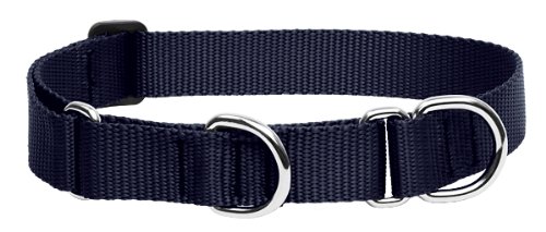 LupinePet 1-Inch Martingale Combo Collar for Large Dogs
