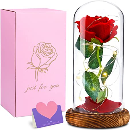 Rose im Glas,Ewige Rose im Glas mit LED-Licht,Die Schöne und das Biest Rose,Valentinstag Geburtstag für sie,Jubiläum,Hochzeitstag, Weihnachtstag,Frauentag