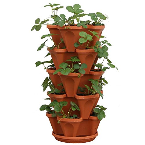 5-Tier Strawberry and Herb Garden Planter - Stackable Gardening Pots with 10 Inch Saucer (Terra-Cotta)