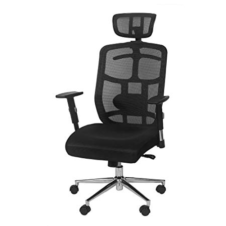 TOPSKY Mesh Computer Office Chair Ergonomic Design Chair Skeletal Back Synchronous Mechanism Hanger Function (Black)
