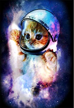 60" x 80" Blanket Comfort Warmth Soft Plush Throw for CouchAstronaut Cat in Space Funny